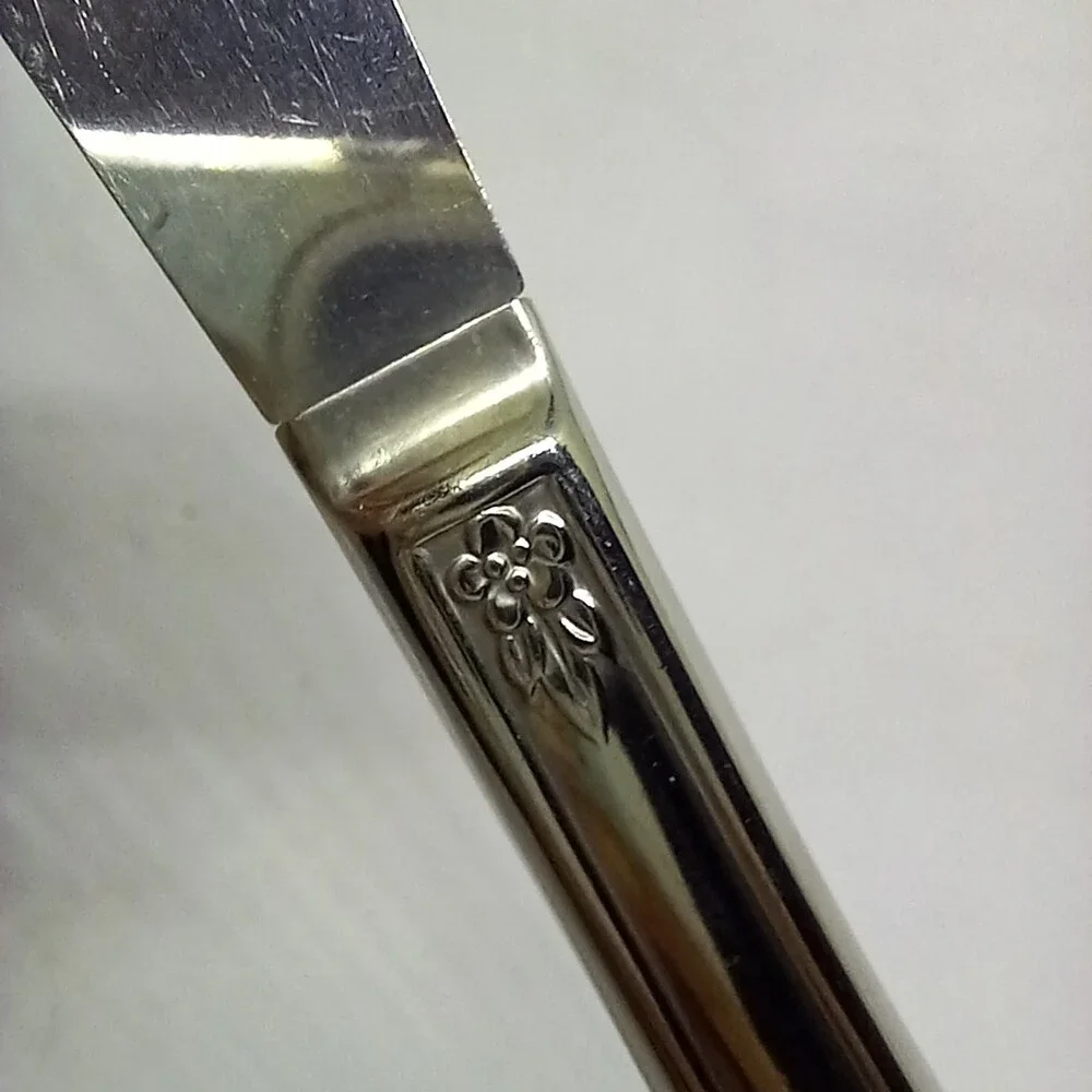 Oneida / WM A Rogers Fenway Stainless Steel Modern Solid Knife-Floral-Daydream